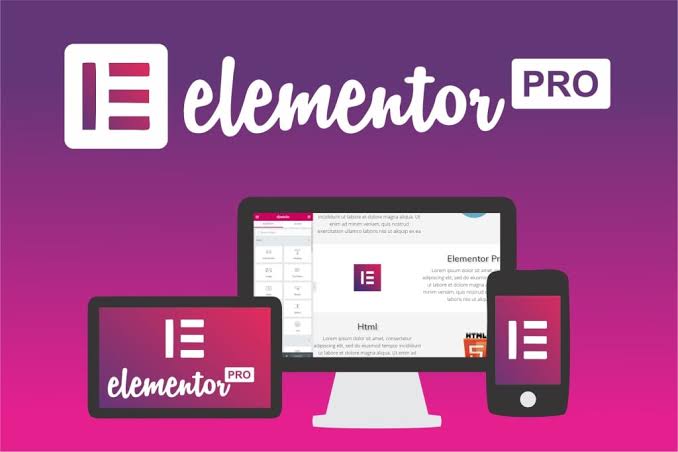 Elementor Pro - Website Builder For Wordpress