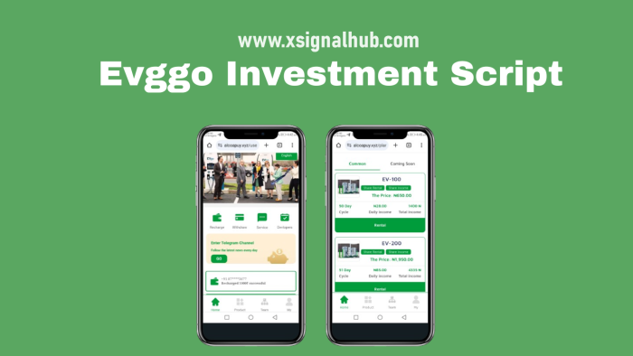 Evggo Investment Script